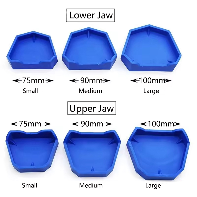 Base de modèle dentaire en plâ - Teeth Whitening Trays avis et prix