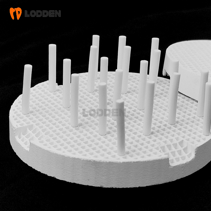 LODDEN plateaux de cuisson en  - Teeth Whitening Trays avis et prix